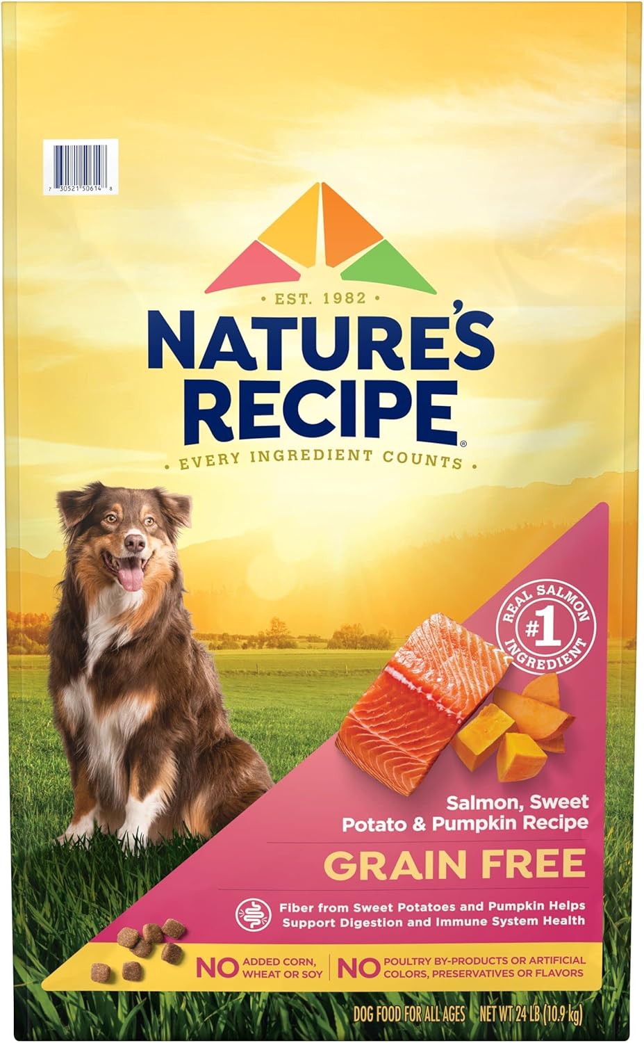 Nature′s Recipe Dry Dog Food, Grain Free Salmon, Sweet Potato & Pumpkin Recipe, 24 lb. Bag