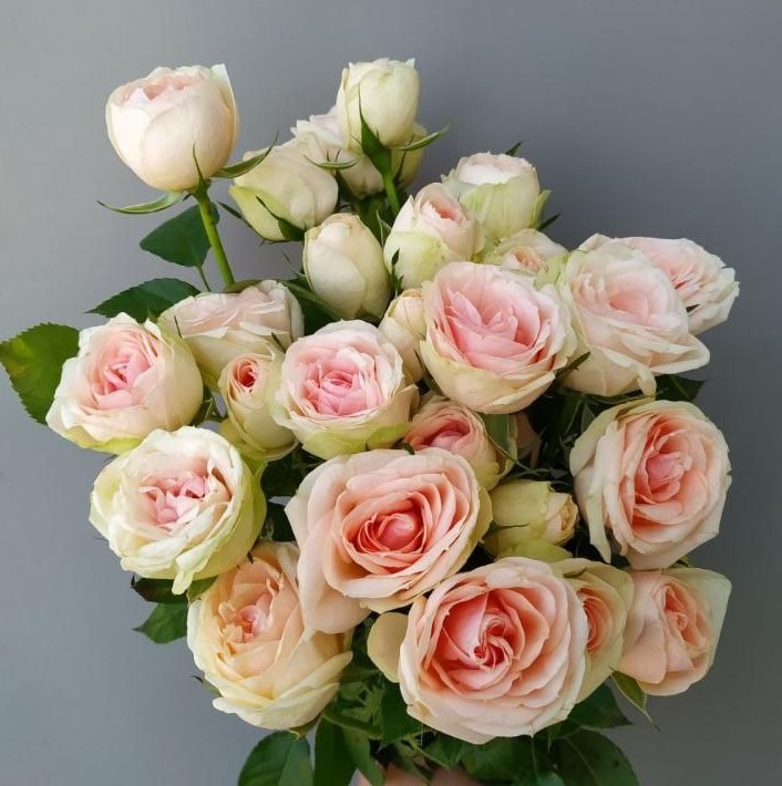 Крісті (серія LOVES ME)