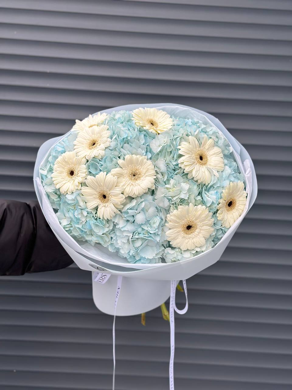 Блакитні гортензії у поєднанні з герберою