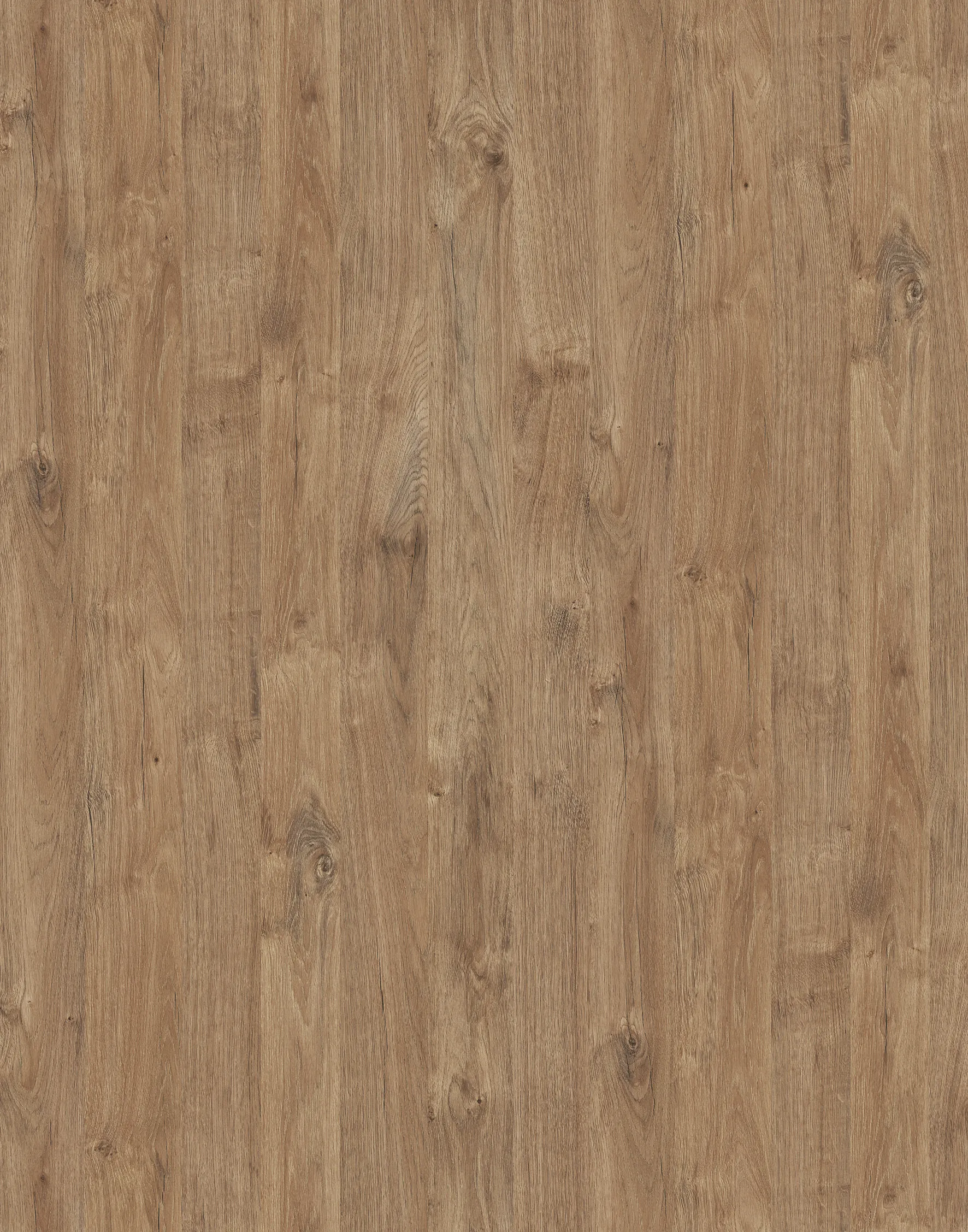 Дуб Харбор Золотий