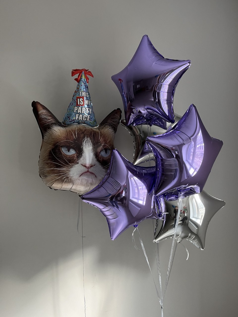 Сет Grumpy Cat