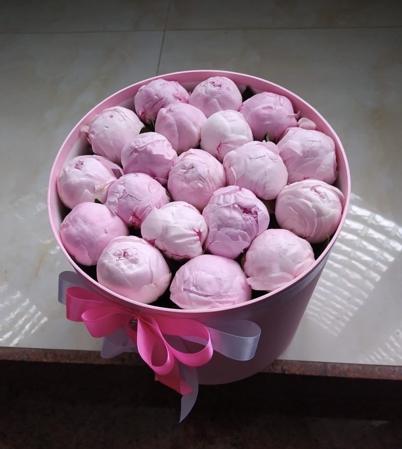 Композиція з 19 пінів Сара Бернар