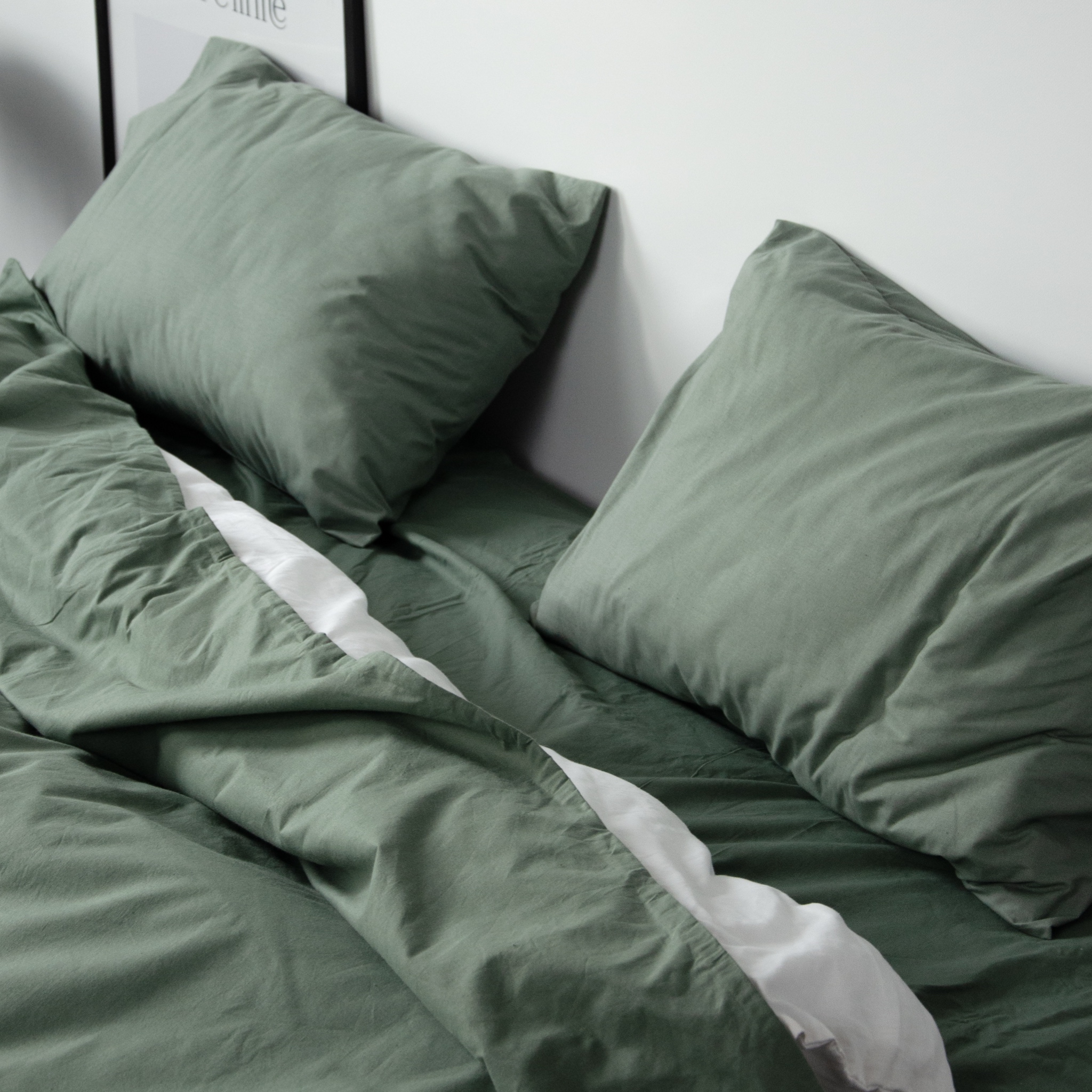 Постільний комплект Матова 100% бавовна Полин