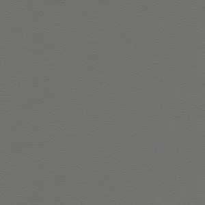 Темно-Сірий