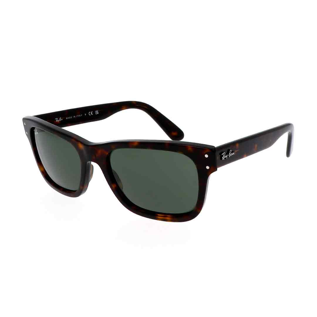 Окуляри сонцезахисні Ray-Ban 2283 902/31 55