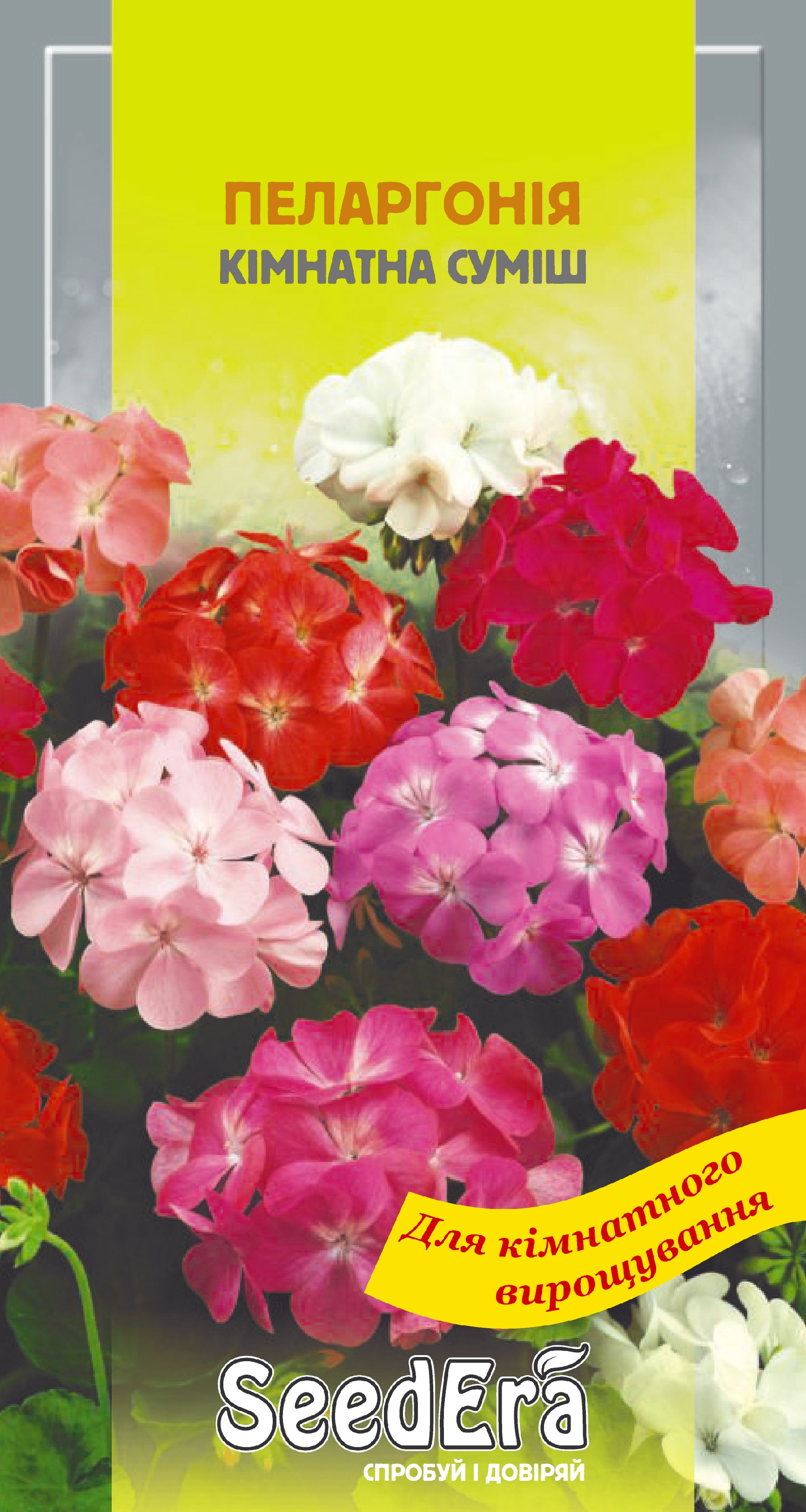 Насіння Міні-кімнатні Квіти Пеларгонія кімнатна суміш, 0,05 г. (багатор.)
