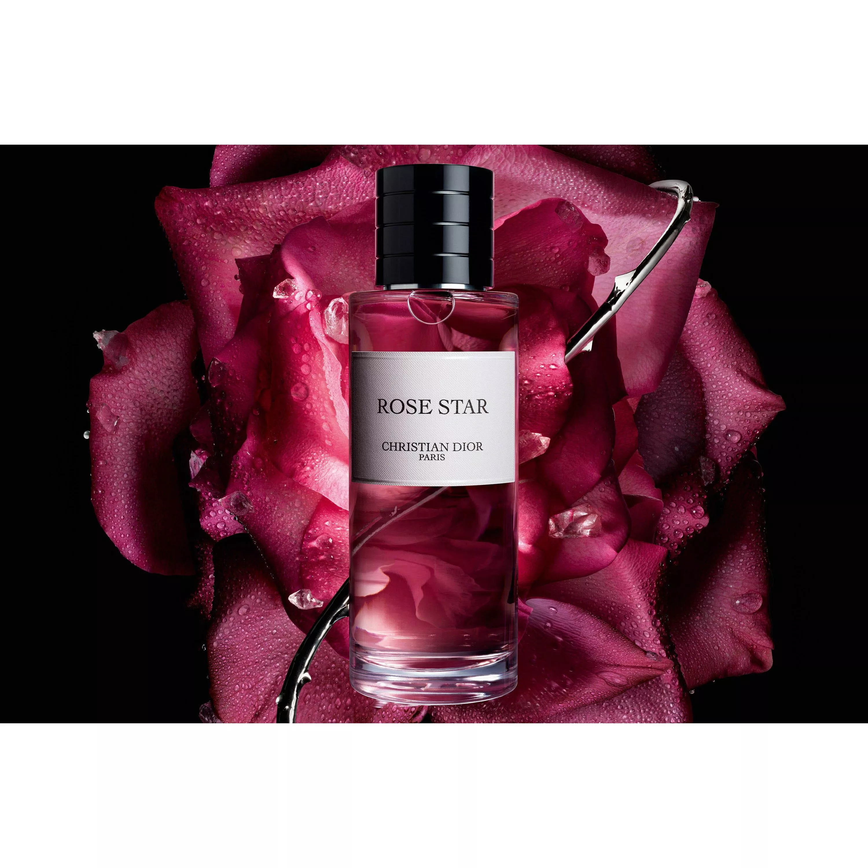 Christian Dior Rose Star