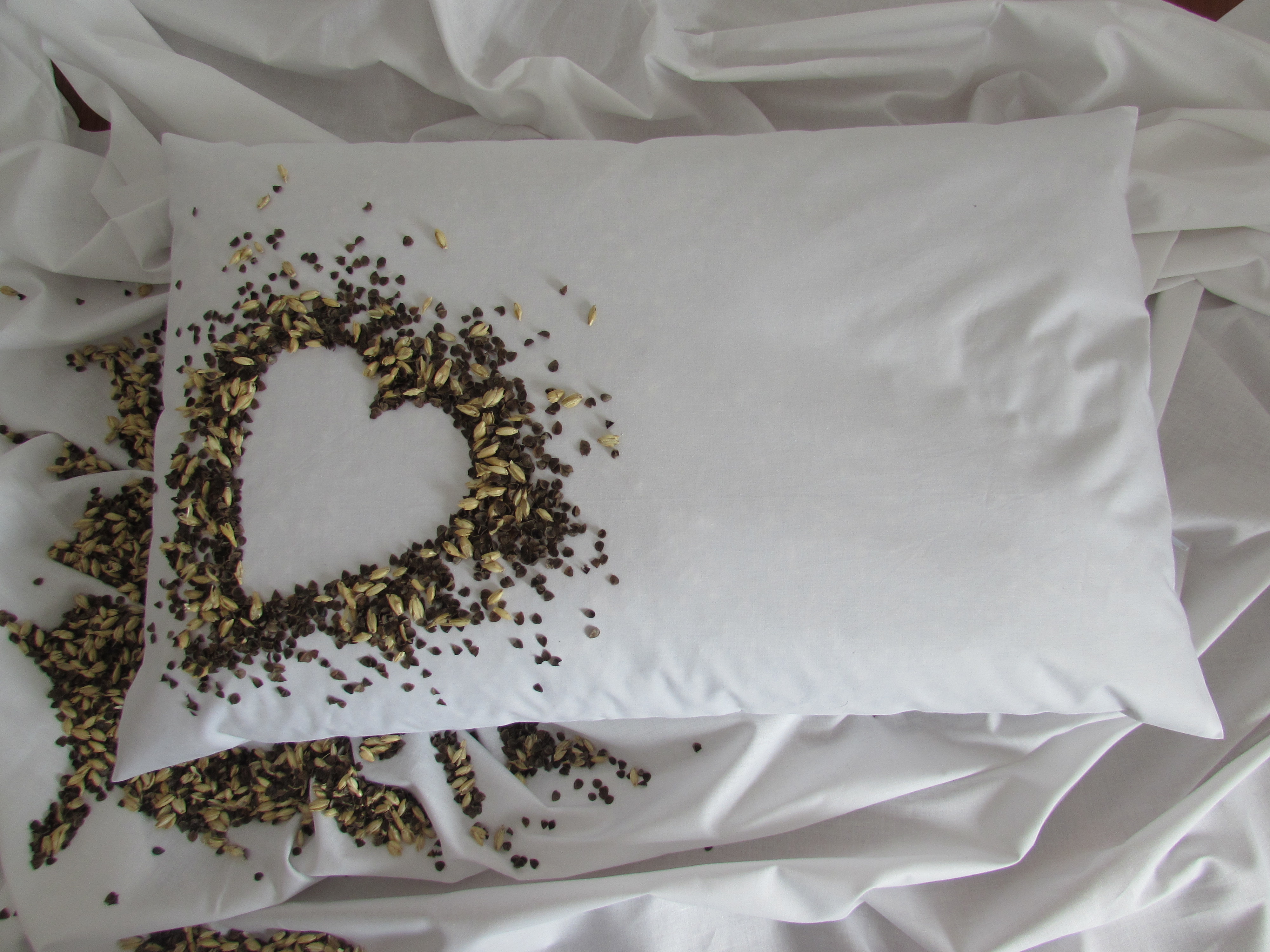 Pohánkovo špaldový vankúš 40x60cm