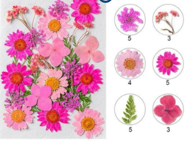 Mixed Pressed Flower