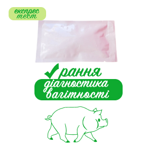 Тест на ранню діагностику вагітності у свиней
