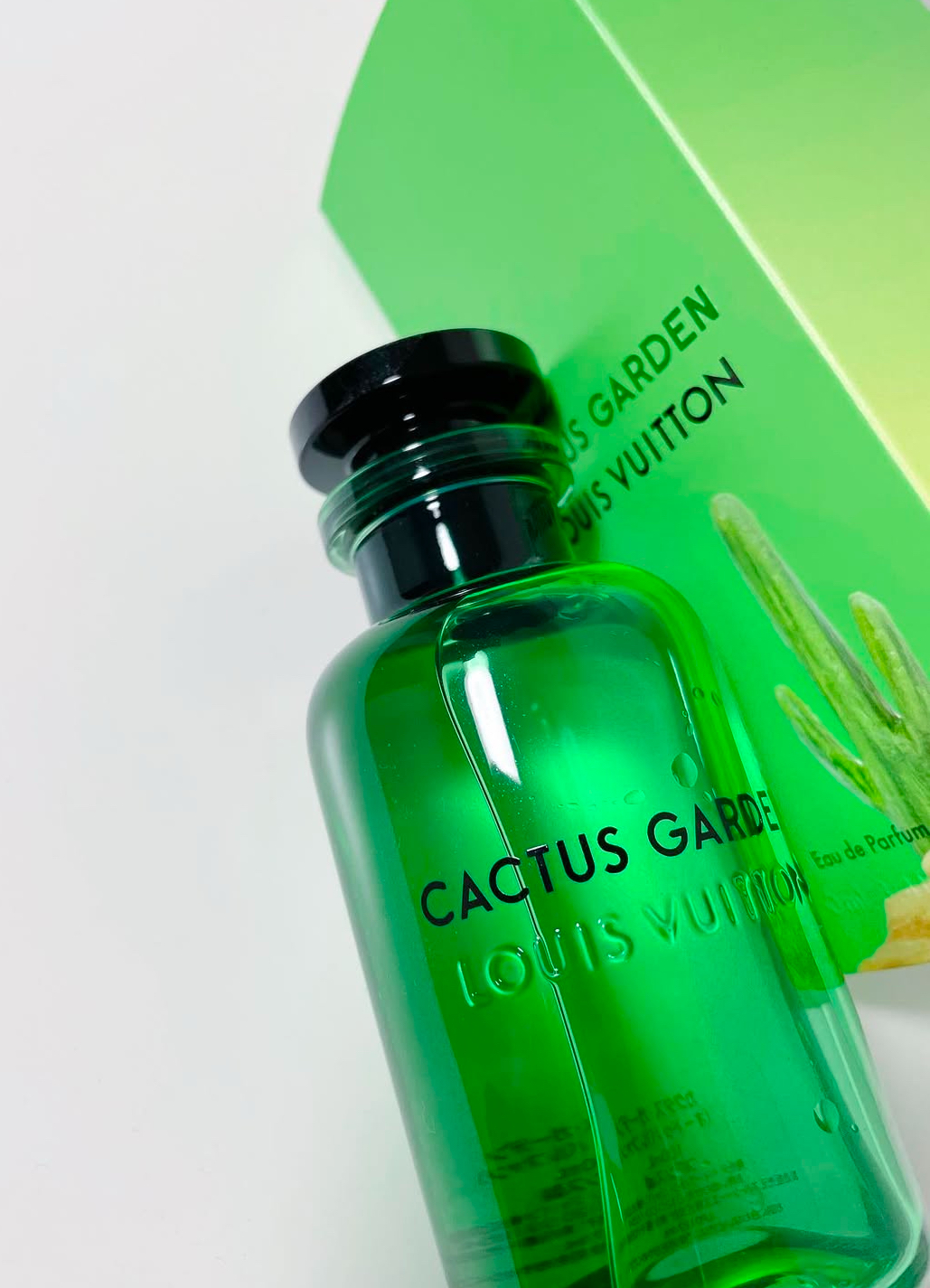 Cactus Garden
