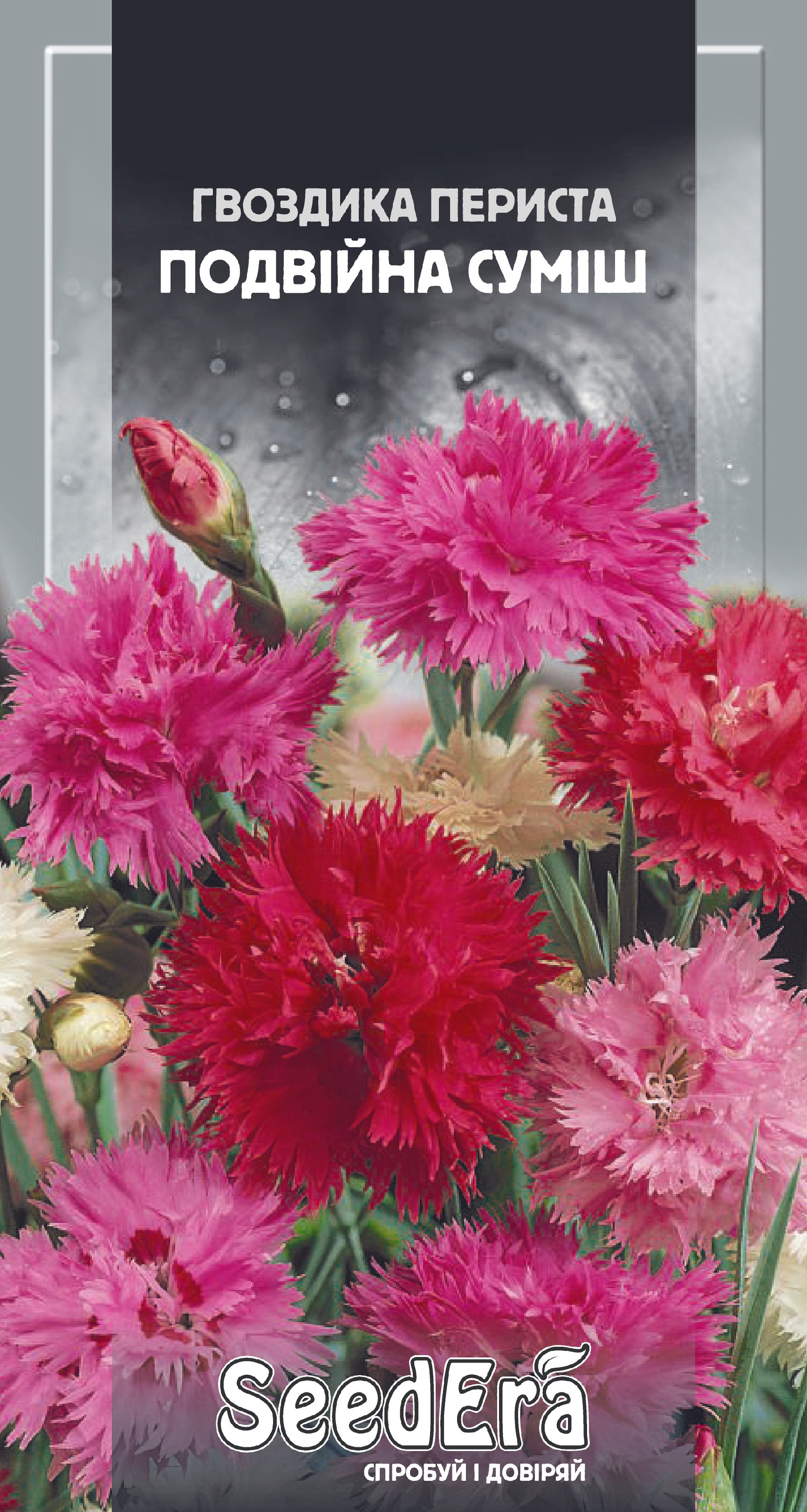 Насіння Квіти Гвоздика периста подвійна суміш, 0,2 г