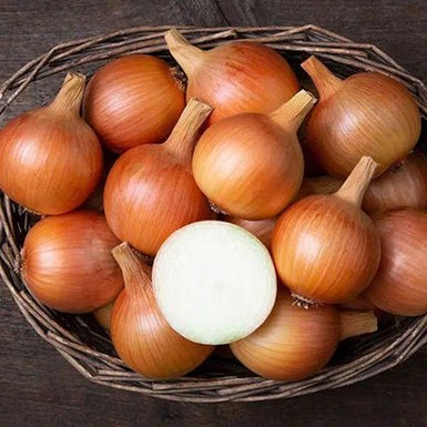 Цибуля Дайтона (Геркулес)
