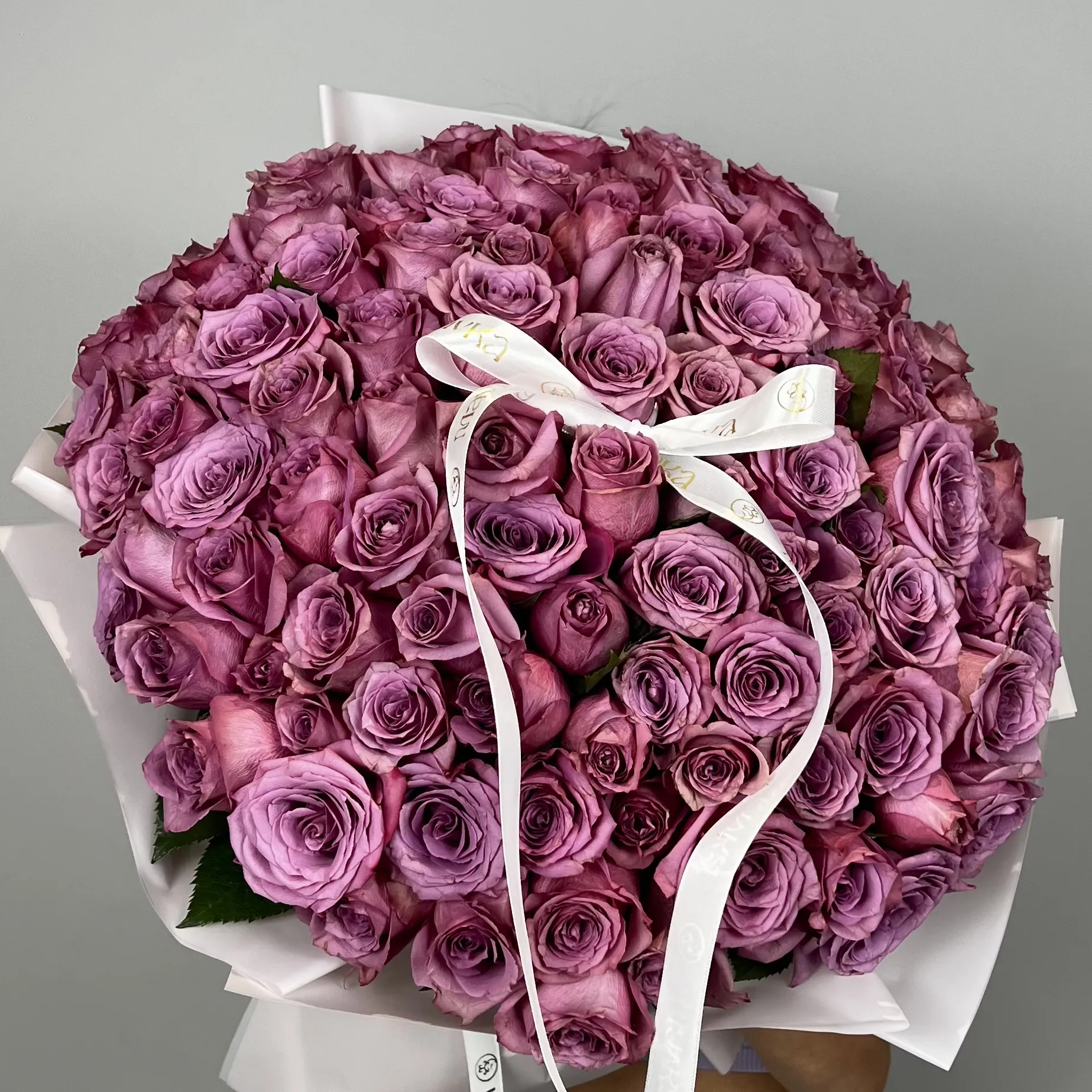 Purple Roses