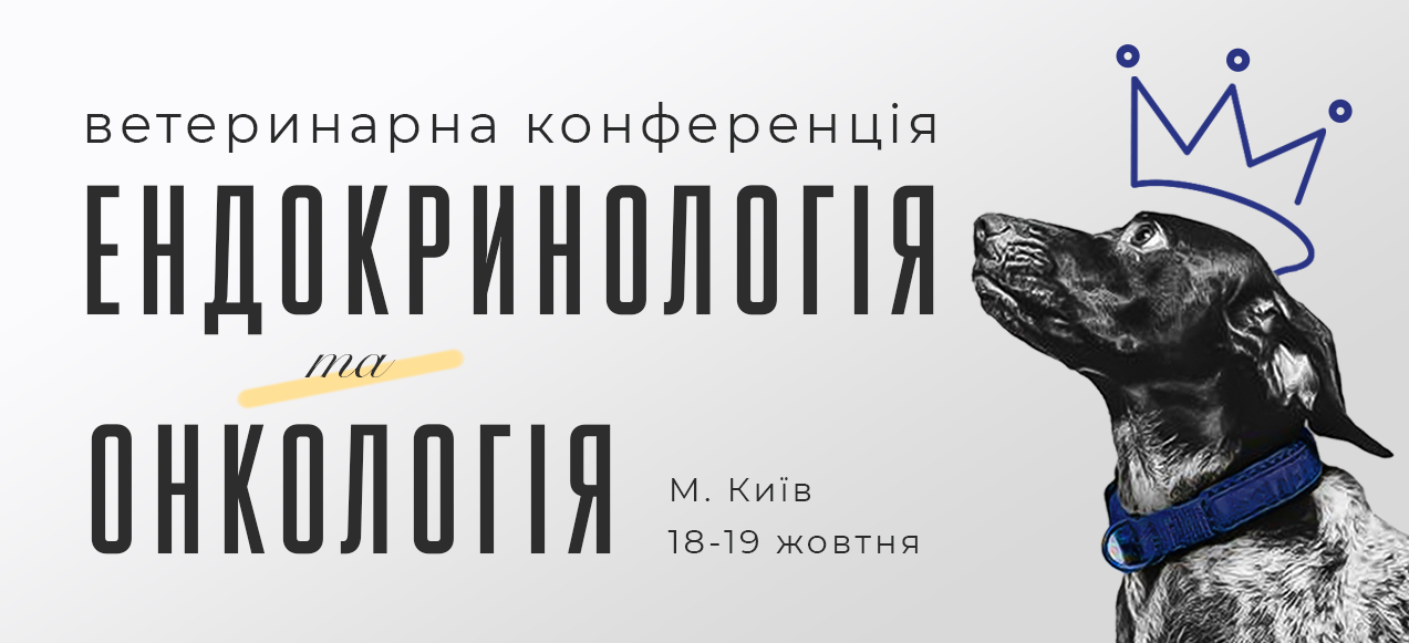 Відео "Ендокринологія та онкологія"
