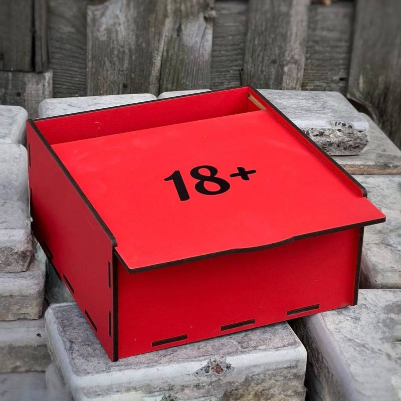 Пенал червоний "18+" 25х25х9 см