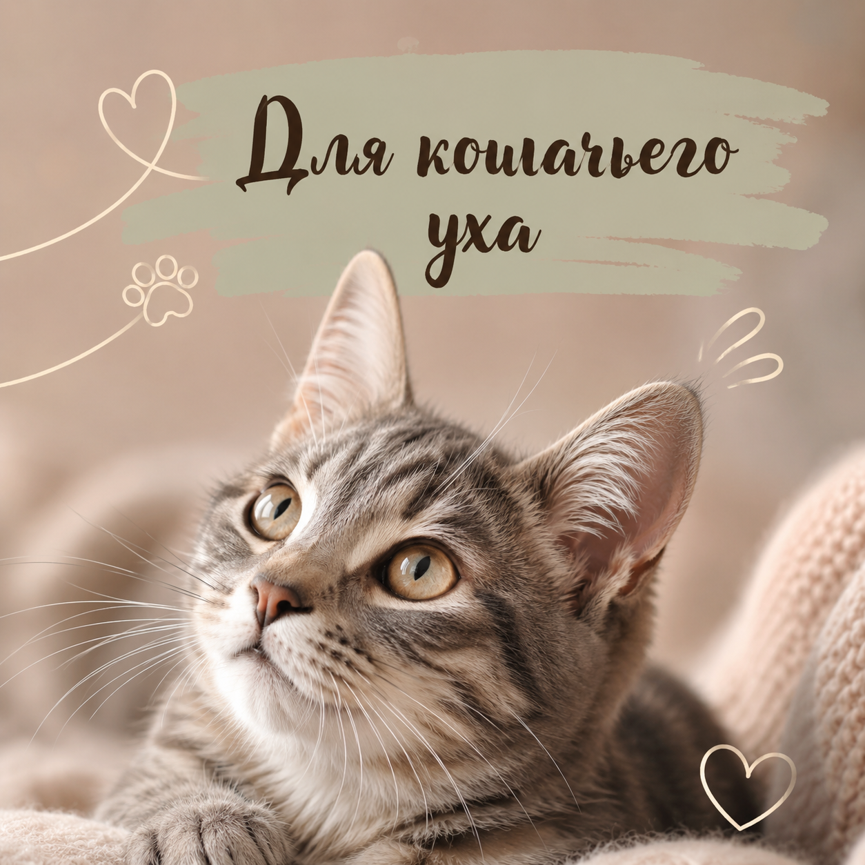 Для кошачьего уха