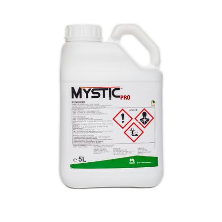 Mystic 25 EW