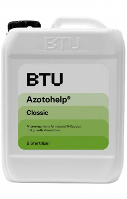 Azotofit