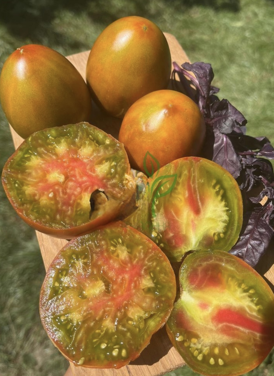 Помідор тайга  20 шт