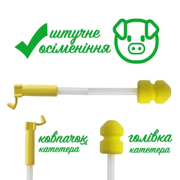 Катетер для осіменіння основних свиноматок