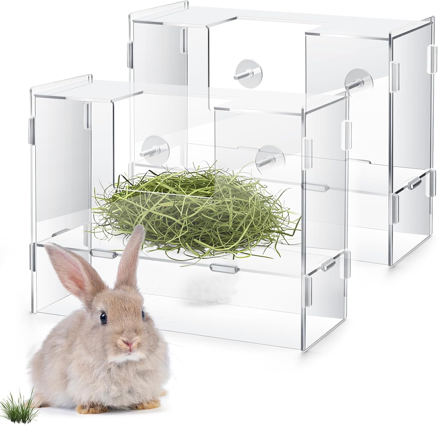 Chunful Acrylic Rabbit Feeder