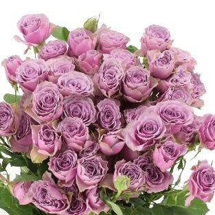 Перпл Скай (Pupple Sky Spray)