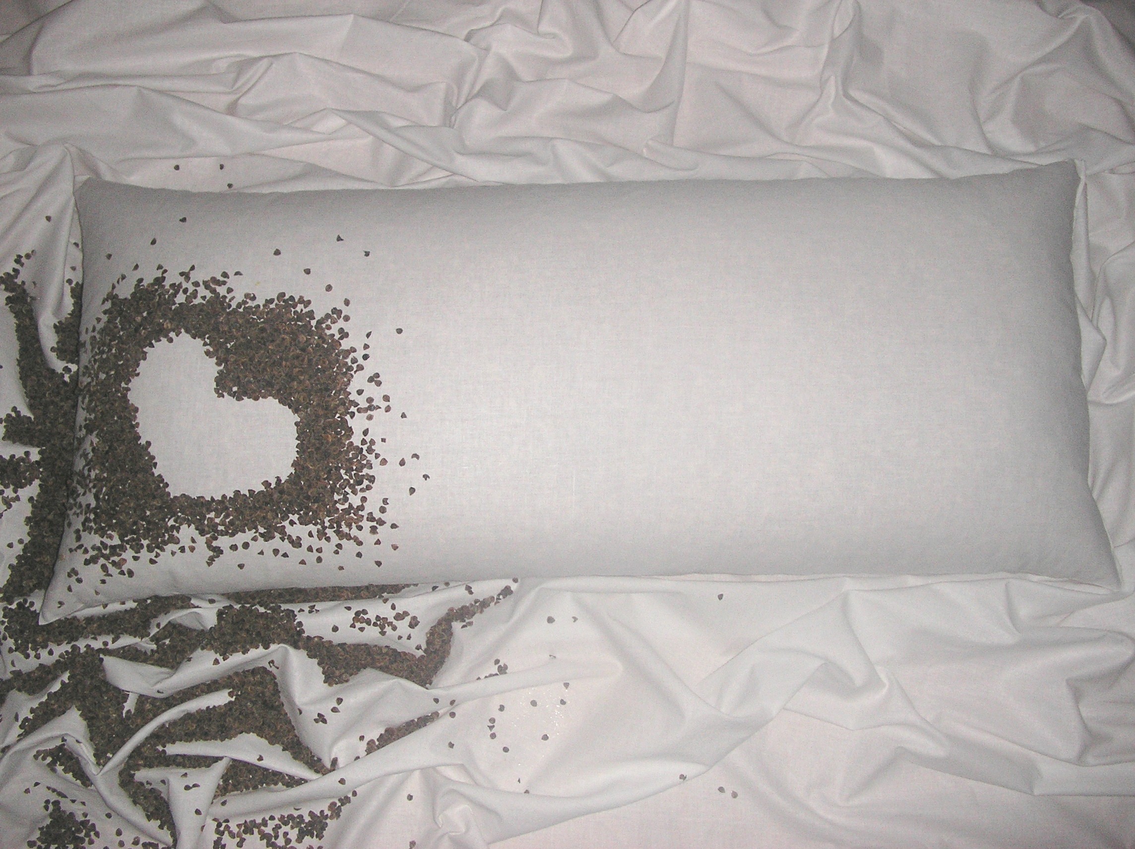 Pohánkový vankúš 35x80cm