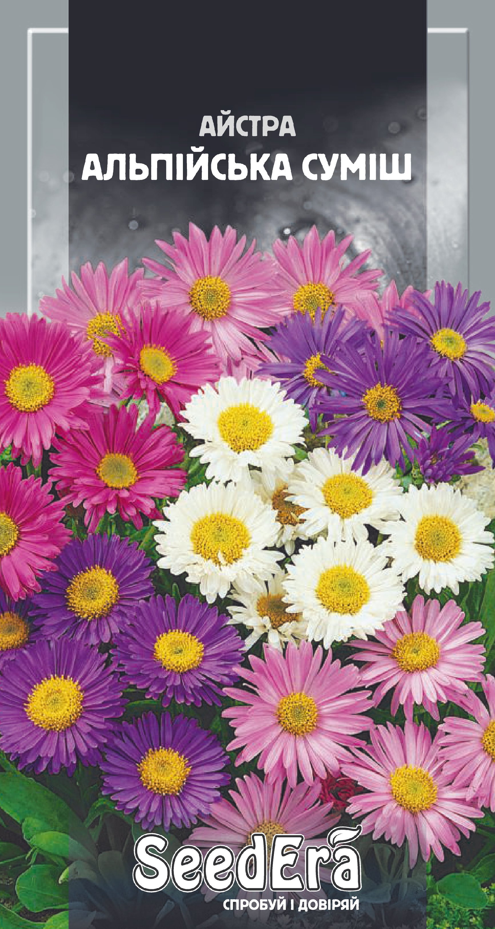 Насіння Квіти Айстра Альпійська суміш, 0,1 г