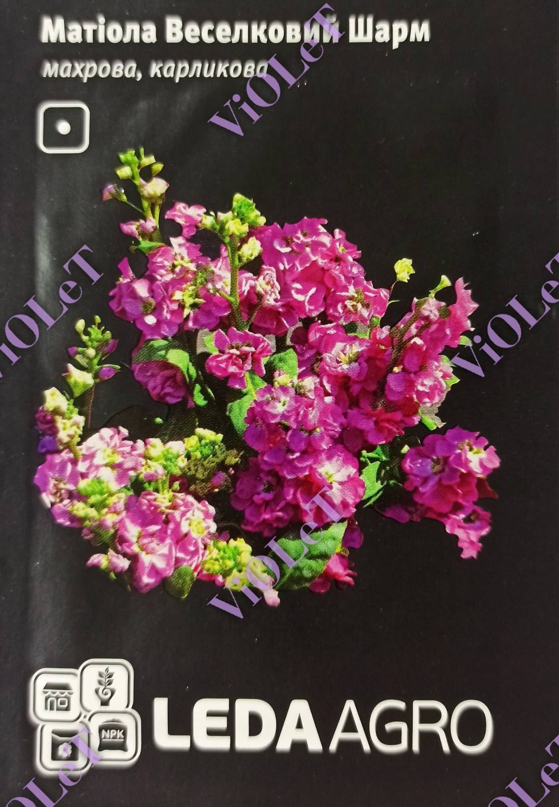 Веселковий Шарм, матіола махрова, карликова, 0,1 г, Leda Agro