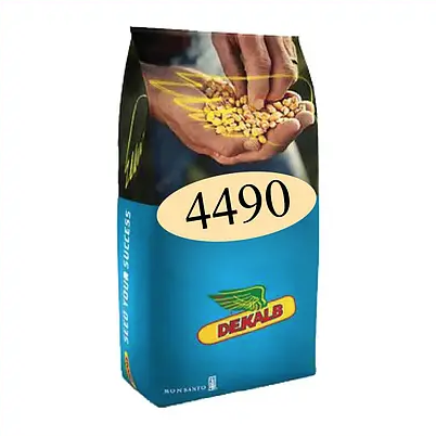 Насіння кукурудзи ДКС 4490 Монсанто ФАО 370 Кукурудза високої врожайності