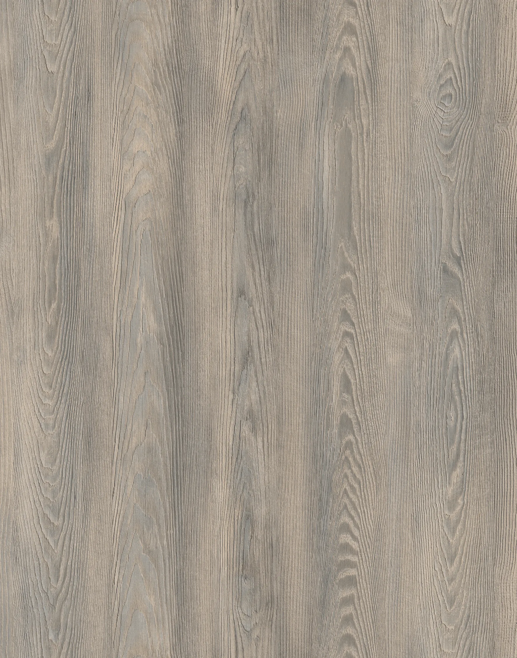 Каштан Арвадонна Камяний