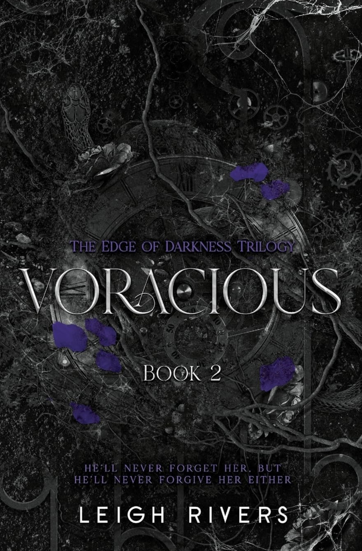 Voracious (The Edge of Darkness: Book 2) (The Edge of Darkness Trilogy) Leigh Rivers