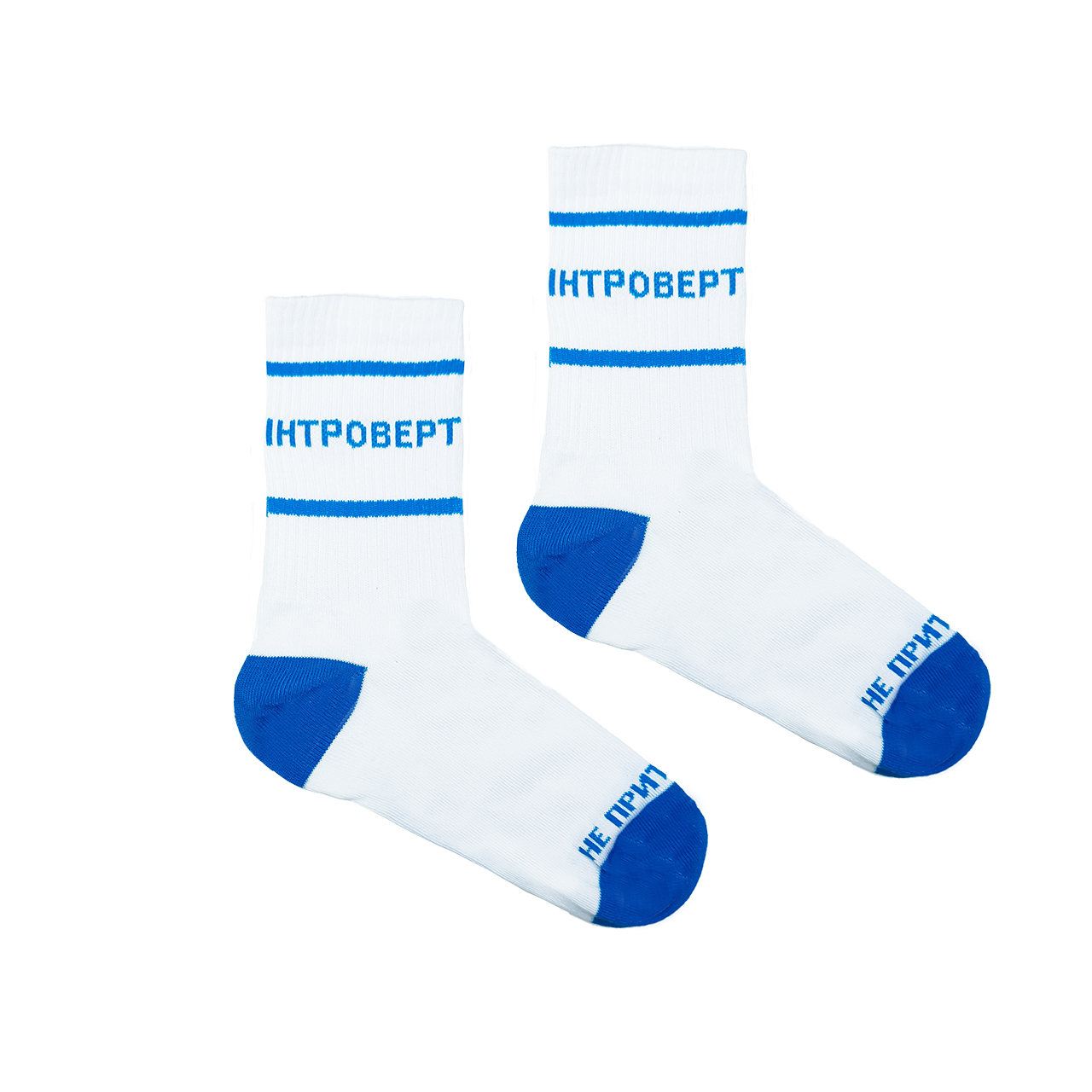 Шкарпетки "Інтроверт"