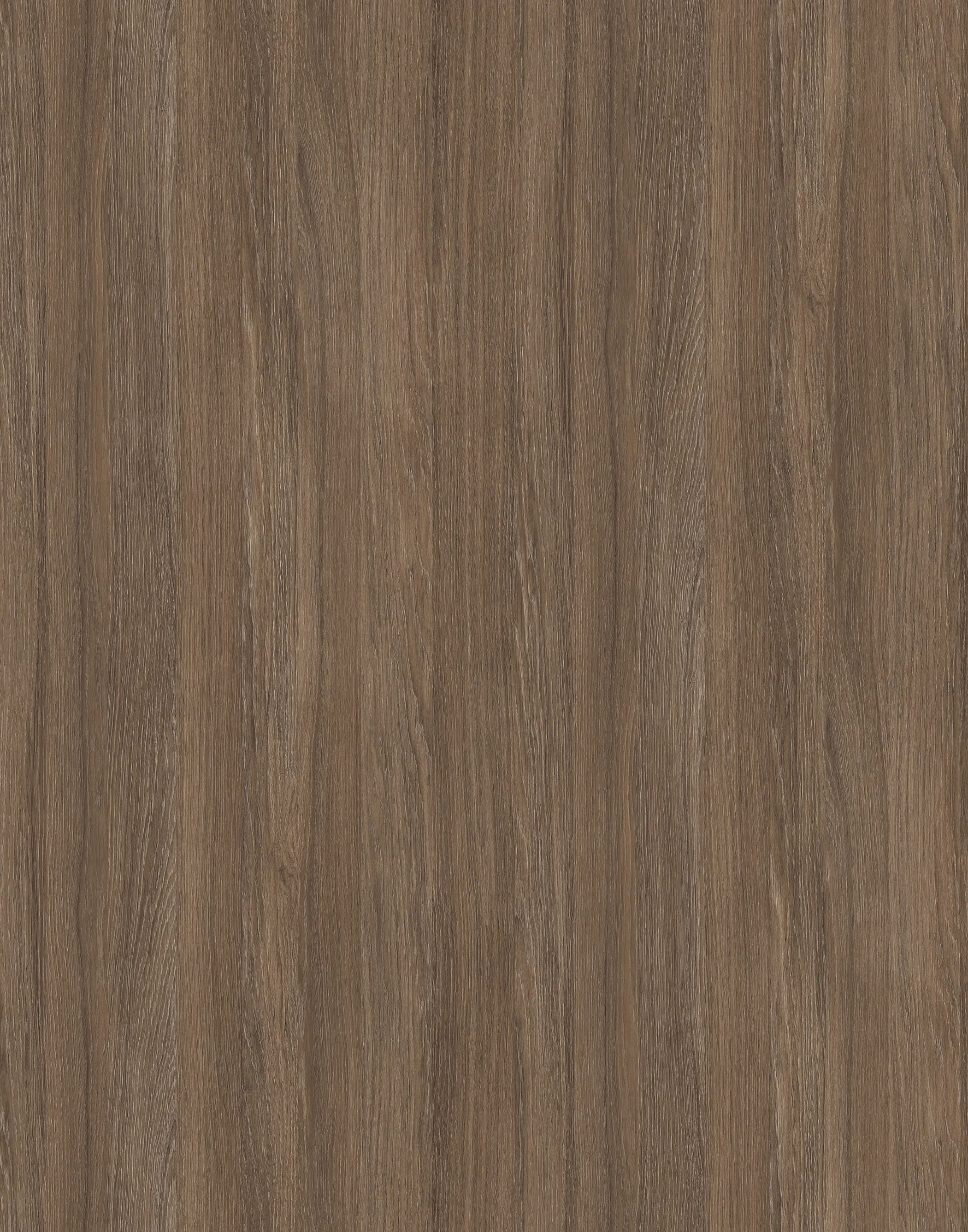 Дуб Урбан Кавовий