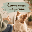 noname