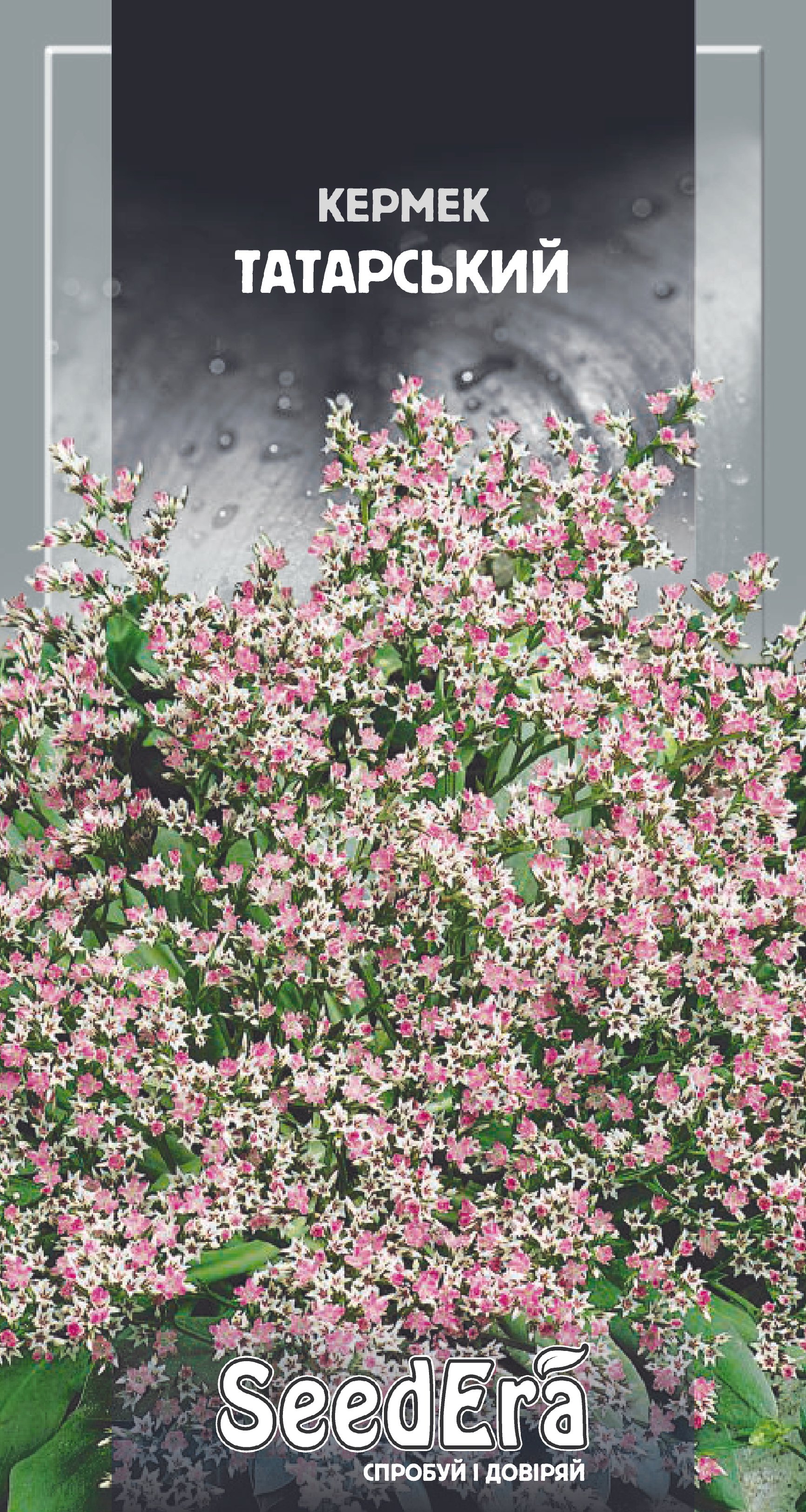 Насіння Квіти Кермек татарський багаторічний, 0,1 г