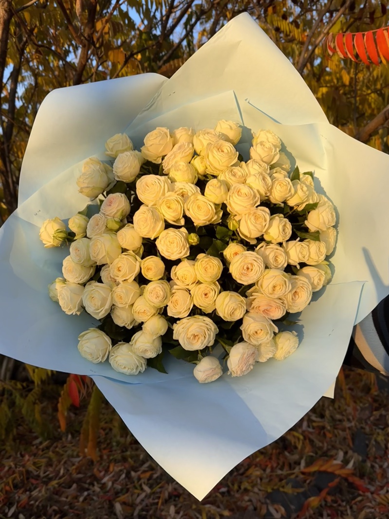 51 гілкова піоновидна троянда "Сноу Ворд"