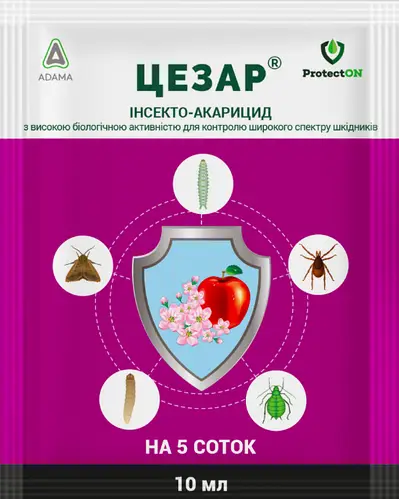 Інсектоакарицид Цезар — потужний захист, що працює тоді, коли інші слабшають