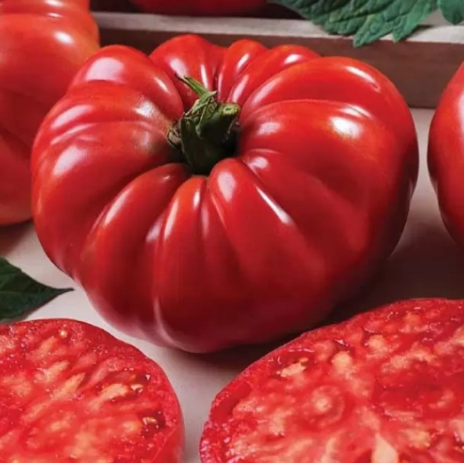 Помідор американський ребристий