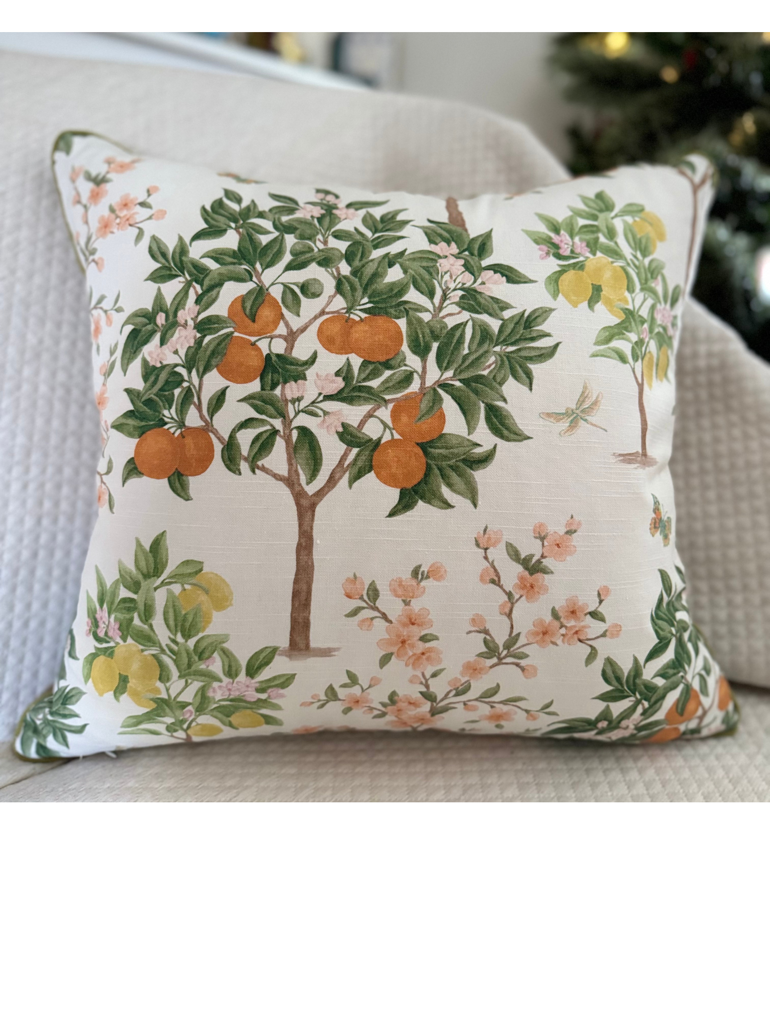 Decorative pillows Oranges