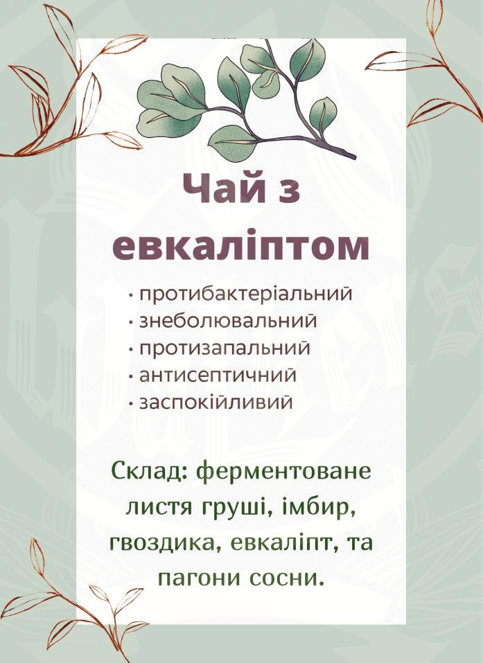Чай з евкаліптом