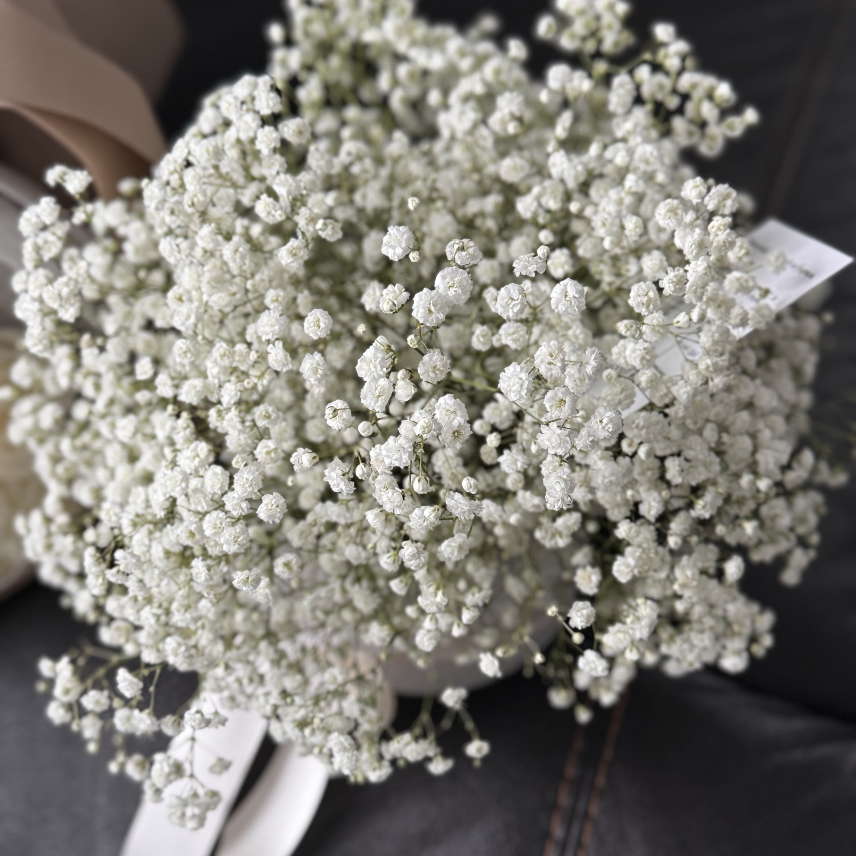 Mono bouquet in a box of gypsophila