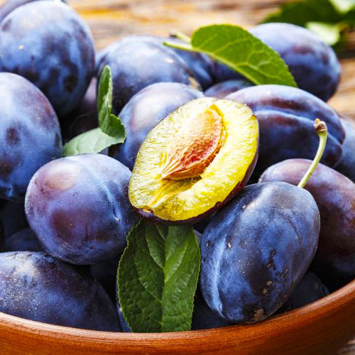 Слива Чачакська рання