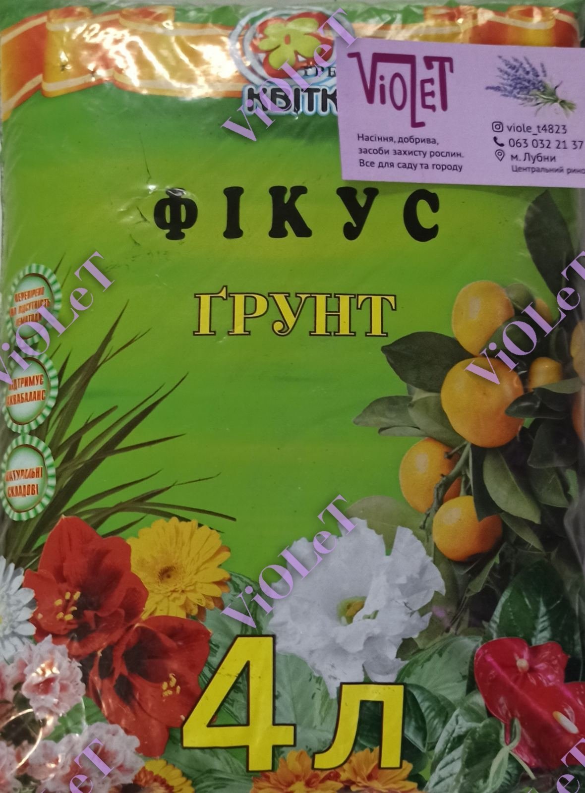 Грунт Трейд Квітка Фікус, 4 л