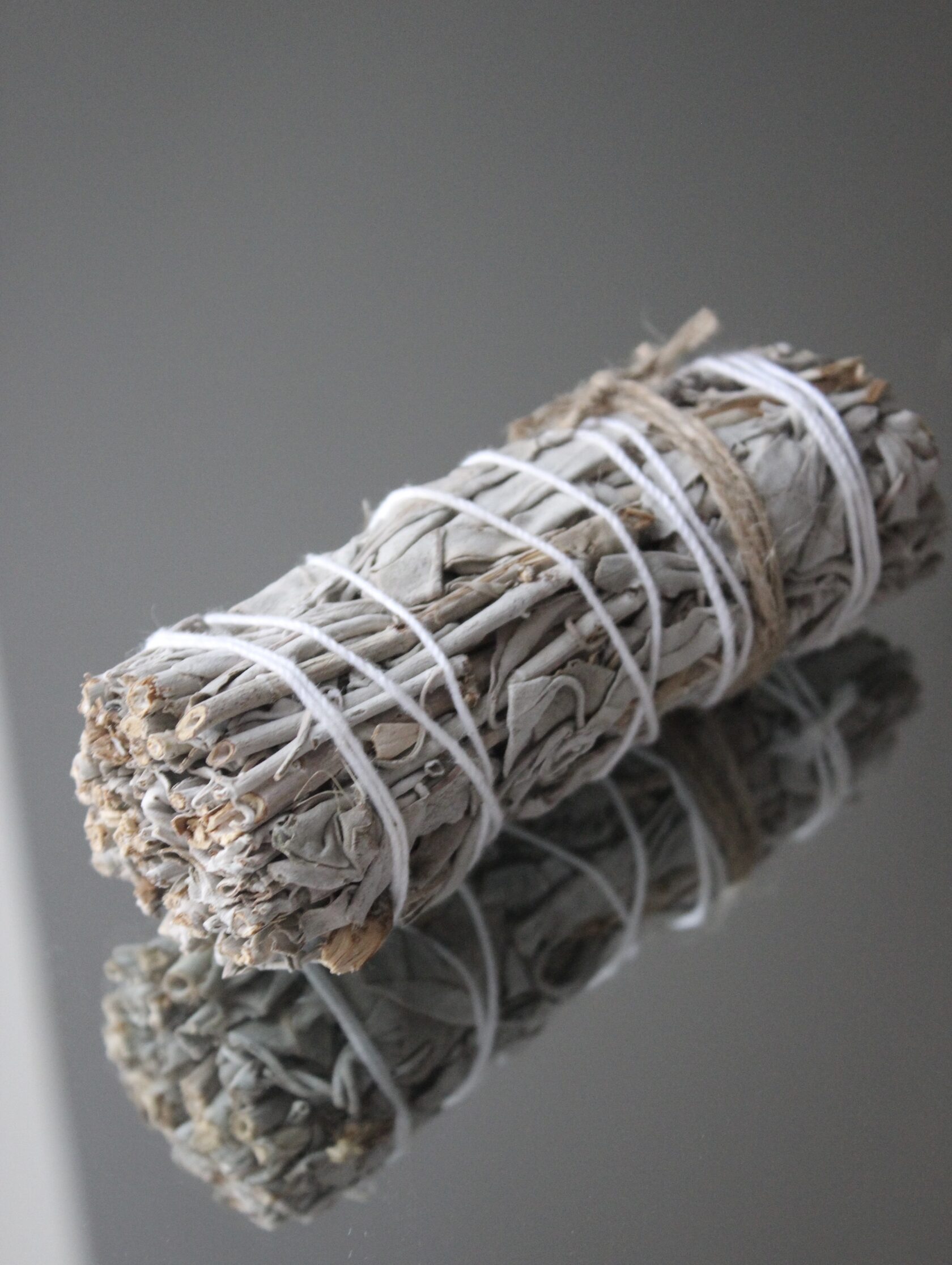 БІЛА КАЛІФОРНІЙСЬКА ШАВЛІЯ