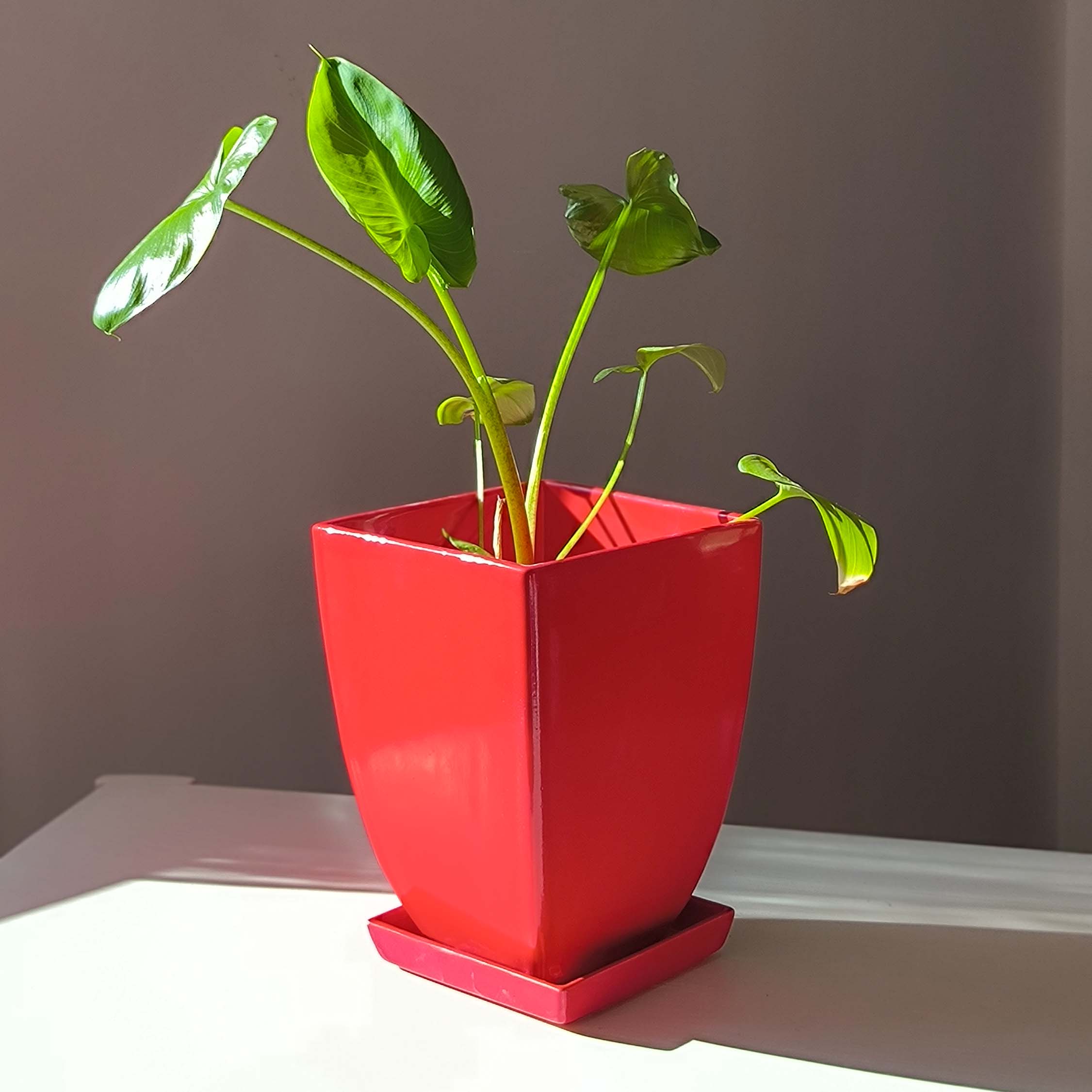 Горщик керамічний Конус чотирикутний 1,1 л Червоний p091