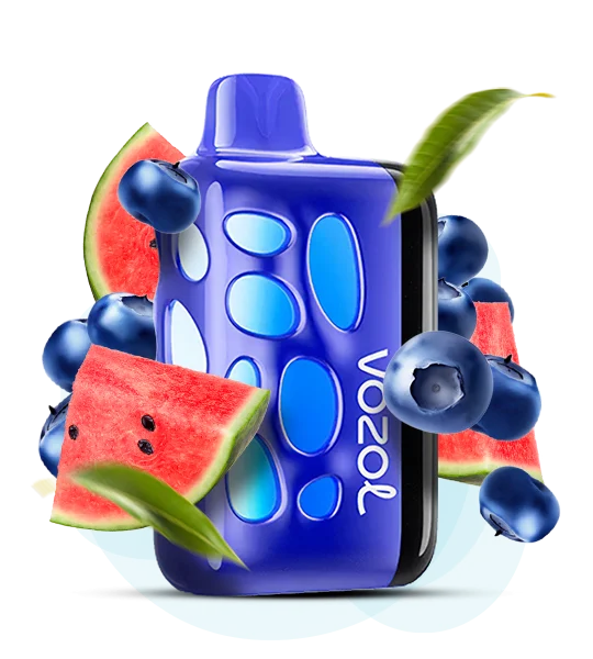 Vozol Rave 40000 Blueberry Watermelon (Чорниця Кавун)