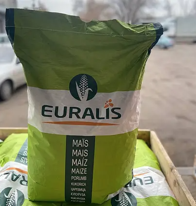 Насіння кукурудзи гібрид ЄС Якарі ФАО 230 Кукурудза високої врожайності