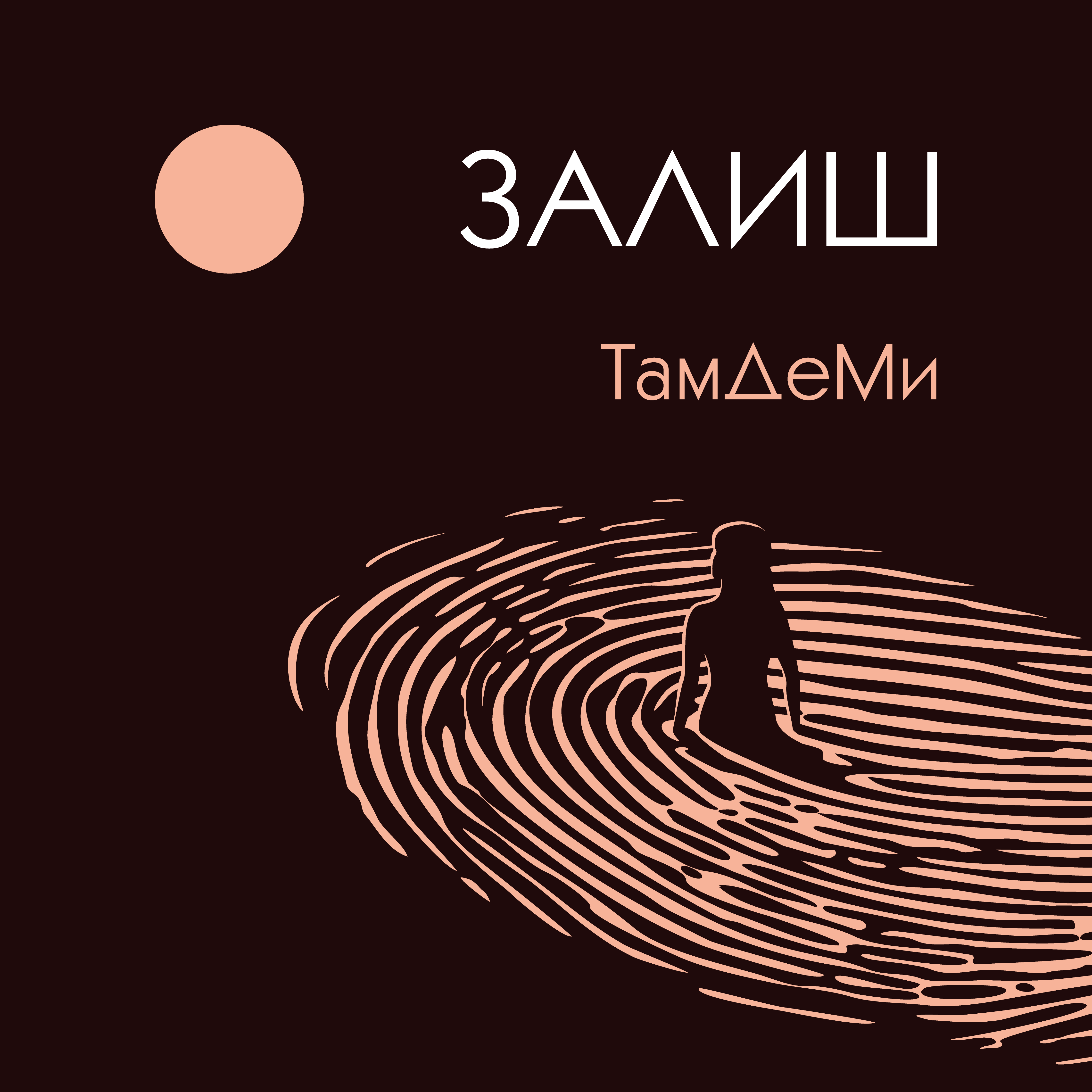 ТамДеМи - Залиш